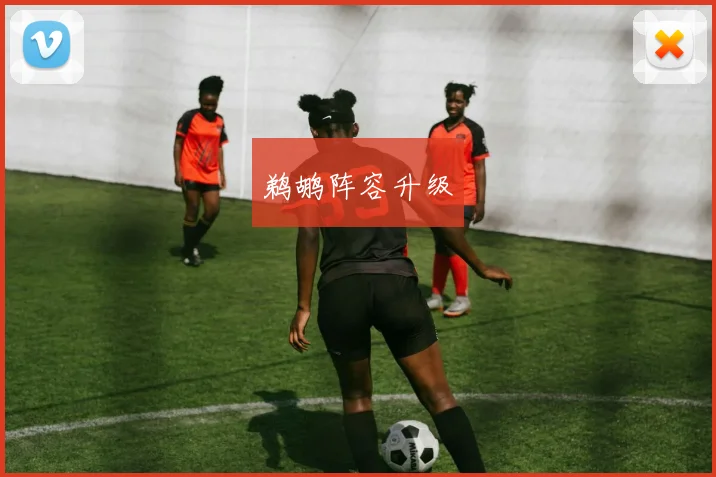鹈鹕阵容升级