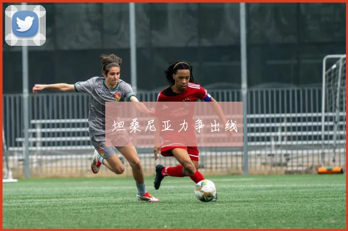 坦桑尼亚力争出线