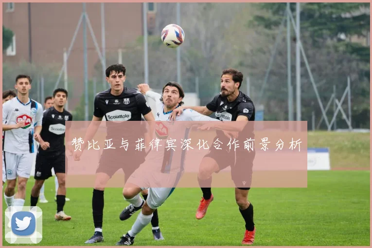 赞比亚与菲律宾深化合作前景分析