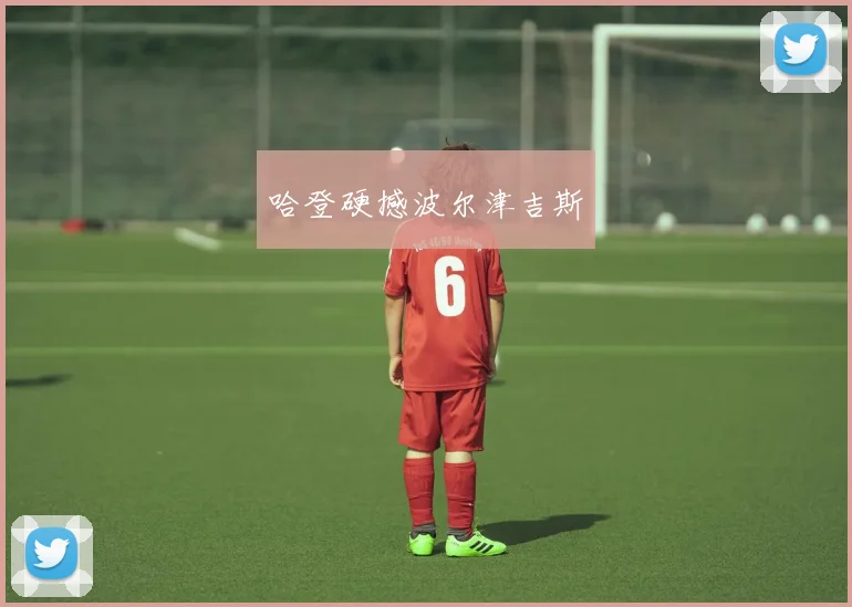 哈登硬撼波尔津吉斯