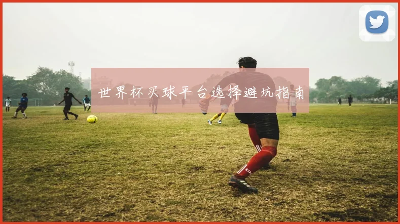 世界杯买球平台选择避坑指南