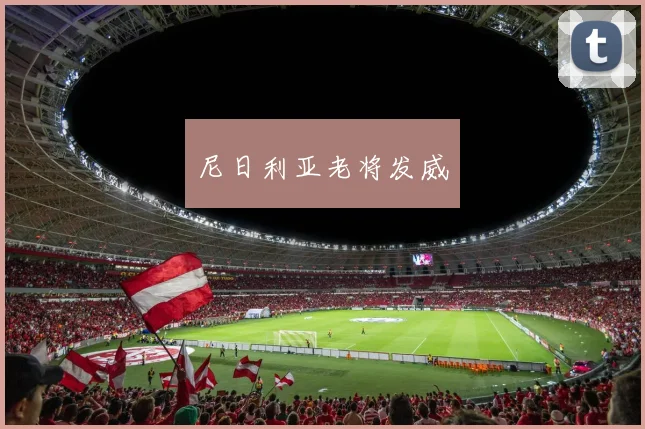 尼日利亚老将发威