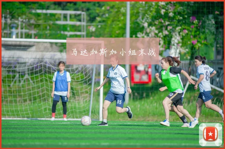 马达加斯加小组末战