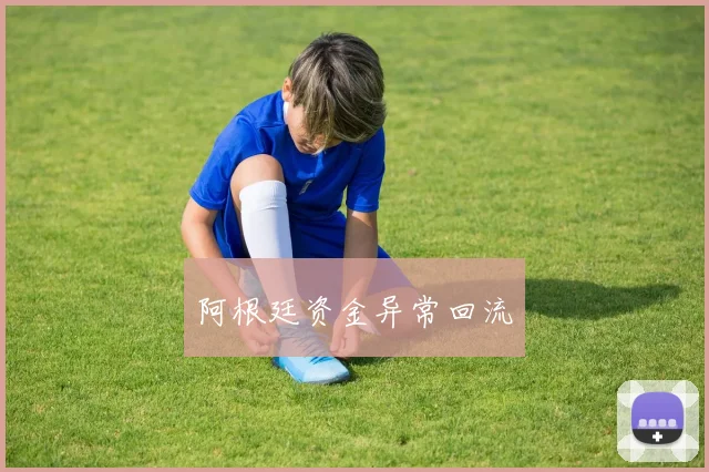 阿根廷资金异常回流