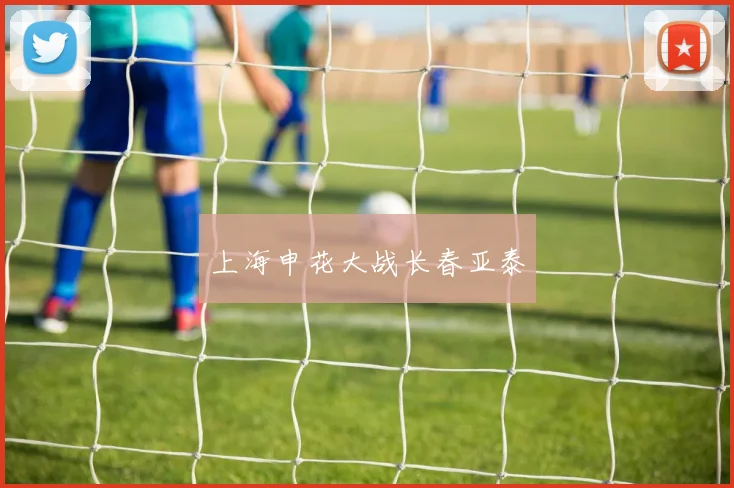 上海申花大战长春亚泰