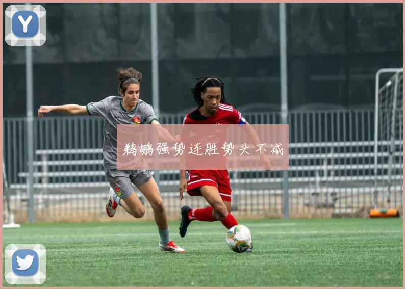 鹈鹕强势连胜势头不减