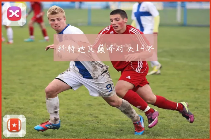 科特迪瓦巅峰对决14字