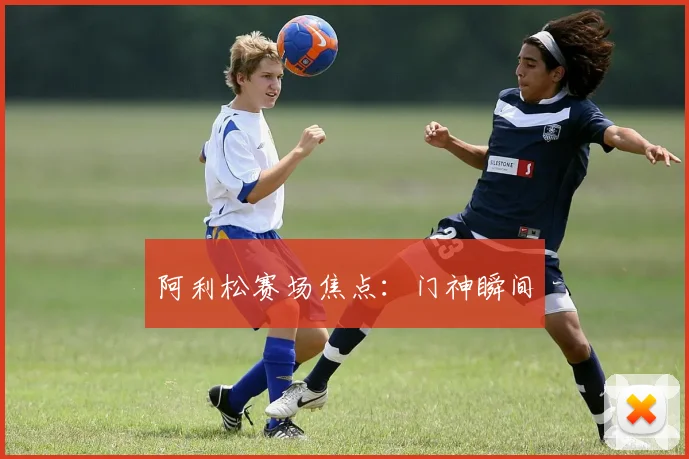 阿利松赛场焦点：门神瞬间