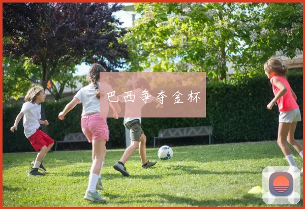 巴西争夺金杯