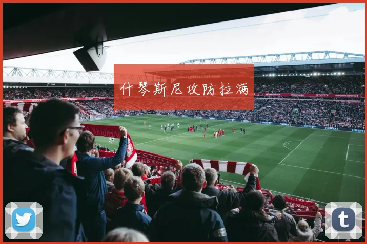 什琴斯尼攻防拉满