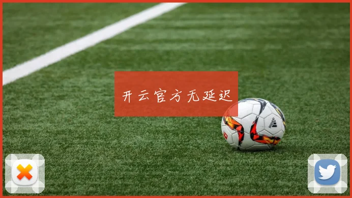 开云官方无延迟
