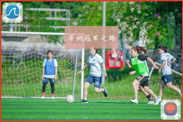 蒂姆冠军之路