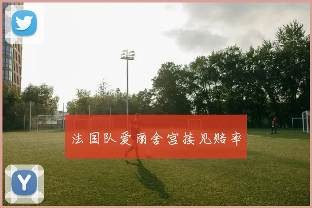 法国队爱丽舍宫接见赔率
