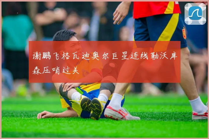 谢鹏飞格瓦迪奥尔巨星连线勒沃库森压哨过关