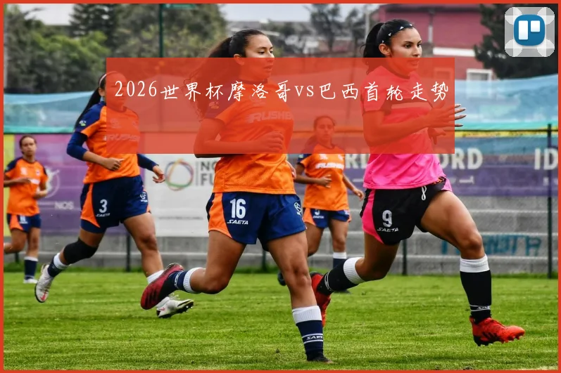 2026世界杯摩洛哥vs巴西首轮走势